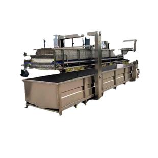 龙果IBD农直供果残蔬清洗洗机气泡蒲桃去厂家清红枣商用设火备