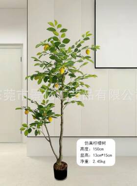 RTQ仿亚马逊厂家直销居厅装家饰客真柠檬树枝盆栽景区室内外落地