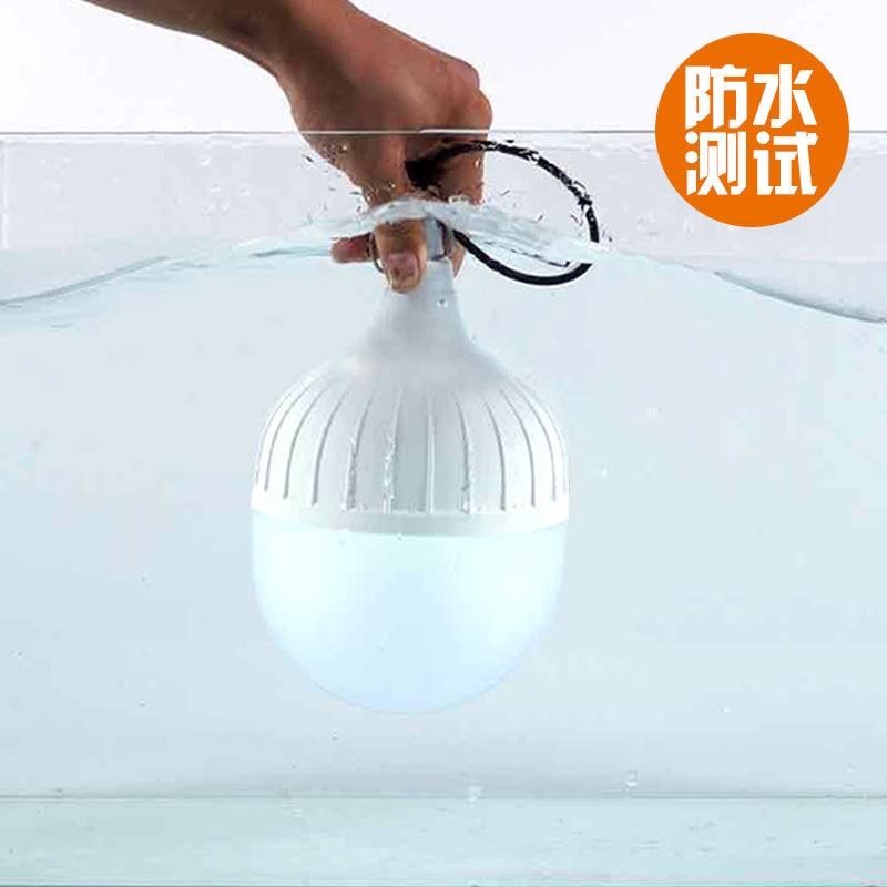 太阳能LED充电灯泡球泡灯地摊夜市灯移动户外走廊露营停电应急灯