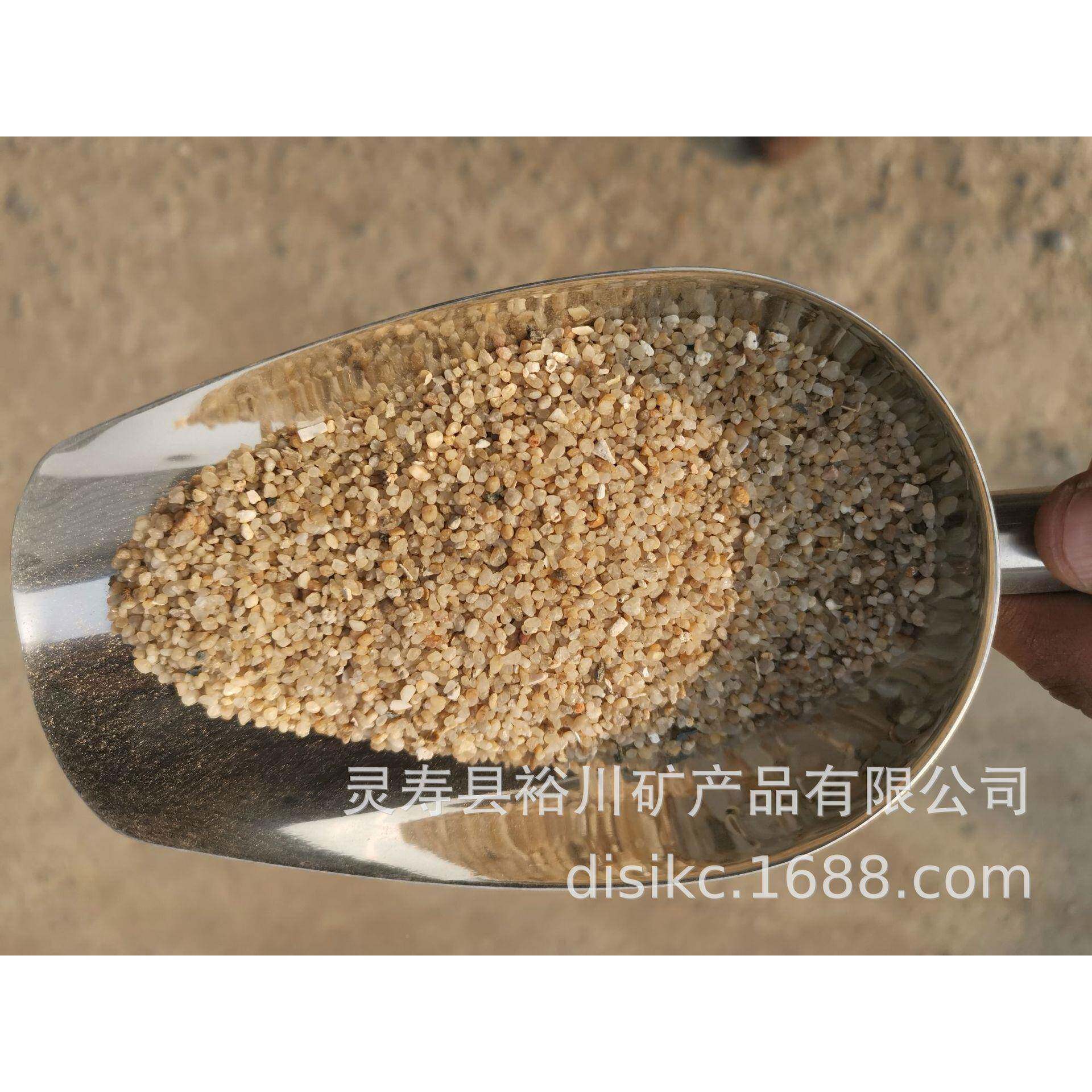 海沙水细河沙多肉土介专铺面水JGL洗培沙质子鱼缸用河沙海沙