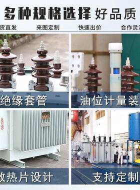 6S11-2ZDXDLHH050/30kv油外浸式变压器a全铜全铝户柱上高压三相电