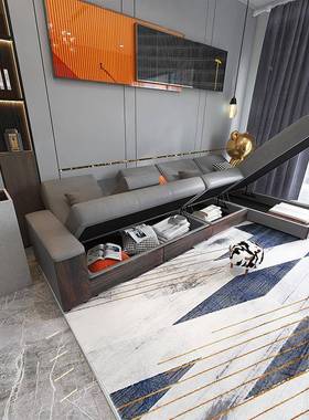 2502年新197款轻奢现代简约小户型厅科技布可收储物沙发客床纳乌