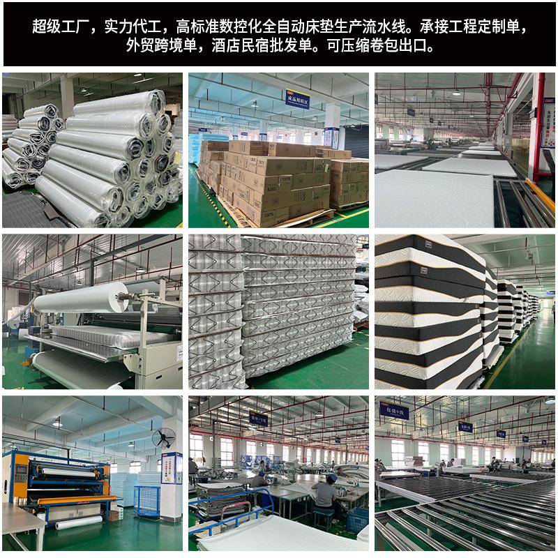 工HSI厂酒店民宿卧室家棕用软垫硬垫席梦思记忆床垫乳棉椰胶弹簧