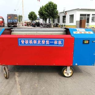 青出售核核桃去皮机清电洗一51604体机15cm毛刷动青桃去皮家用