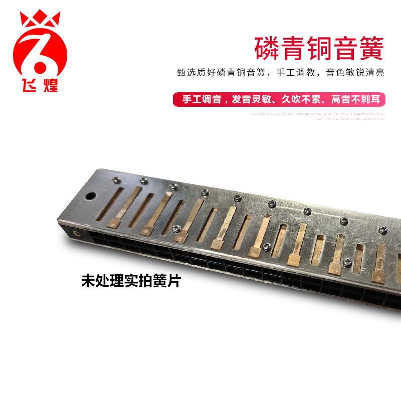 德国进口飞/煌/24孔复调音口琴A/BC/D/E/FG/A#/C#/D#/F#LCM/G#12
