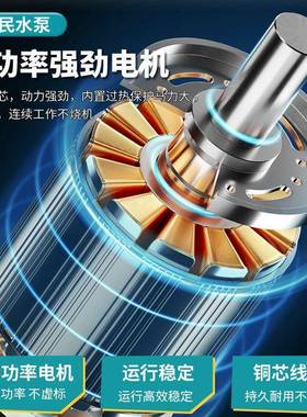 人民国标B自吸泵卧离泵ZW抽Z水污水泵三相ZSA农业心灌溉式增压泵3