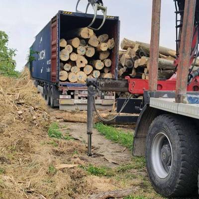欧洲原木实木白蜡原木锯材白腊家居工艺原材木料木方榉木橡木