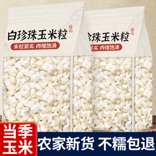 广西忻城糯玉米头去皮糯玉米粒干颗粒珍珠玉米碴子脱皮煮粥糖水