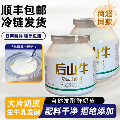 会员超市同款内蒙古手工奶皮子老酸奶奶酪奶酪儿童零食无糖旗舰店