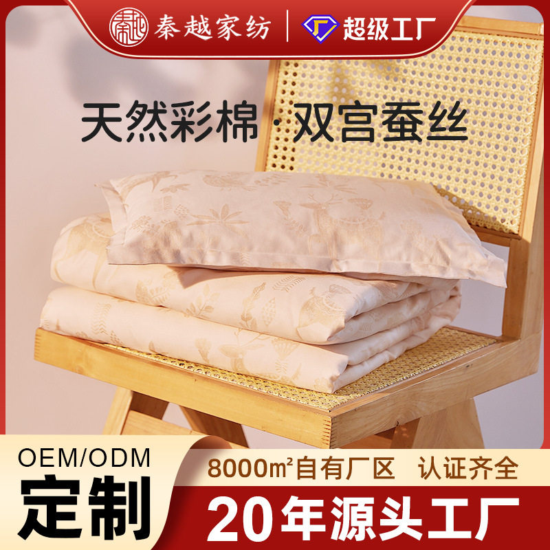 A类儿童全棉大提花夏季蚕丝被夏凉被宝宝幼儿园双宫蚕丝被婴儿被