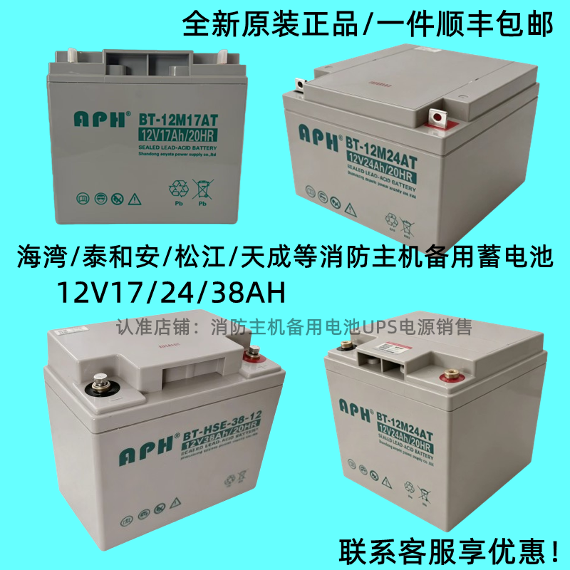 蓄电池BT-12M24AT海湾消防报警主机12V24AH17AH38AH北大青鸟UPS用