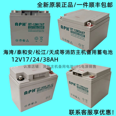 蓄电池BT-12M24AT海湾消防报警主机12V24AH17AH38AH北大青鸟UPS用
