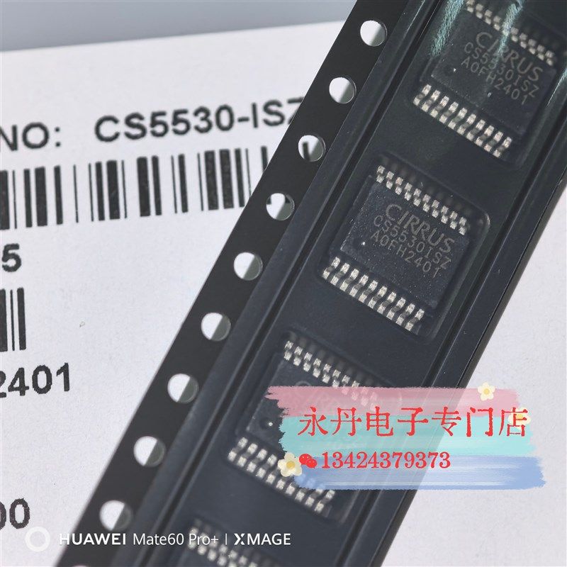 全新原装正品进口现货 CS5530ISZ CS5530-ISZ SSOP20
