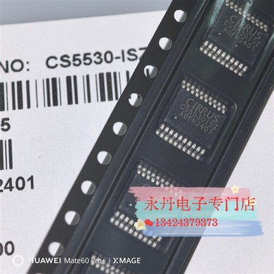 全新原装正品进口现货 CS5530ISZ CS5530-ISZ SSOP20