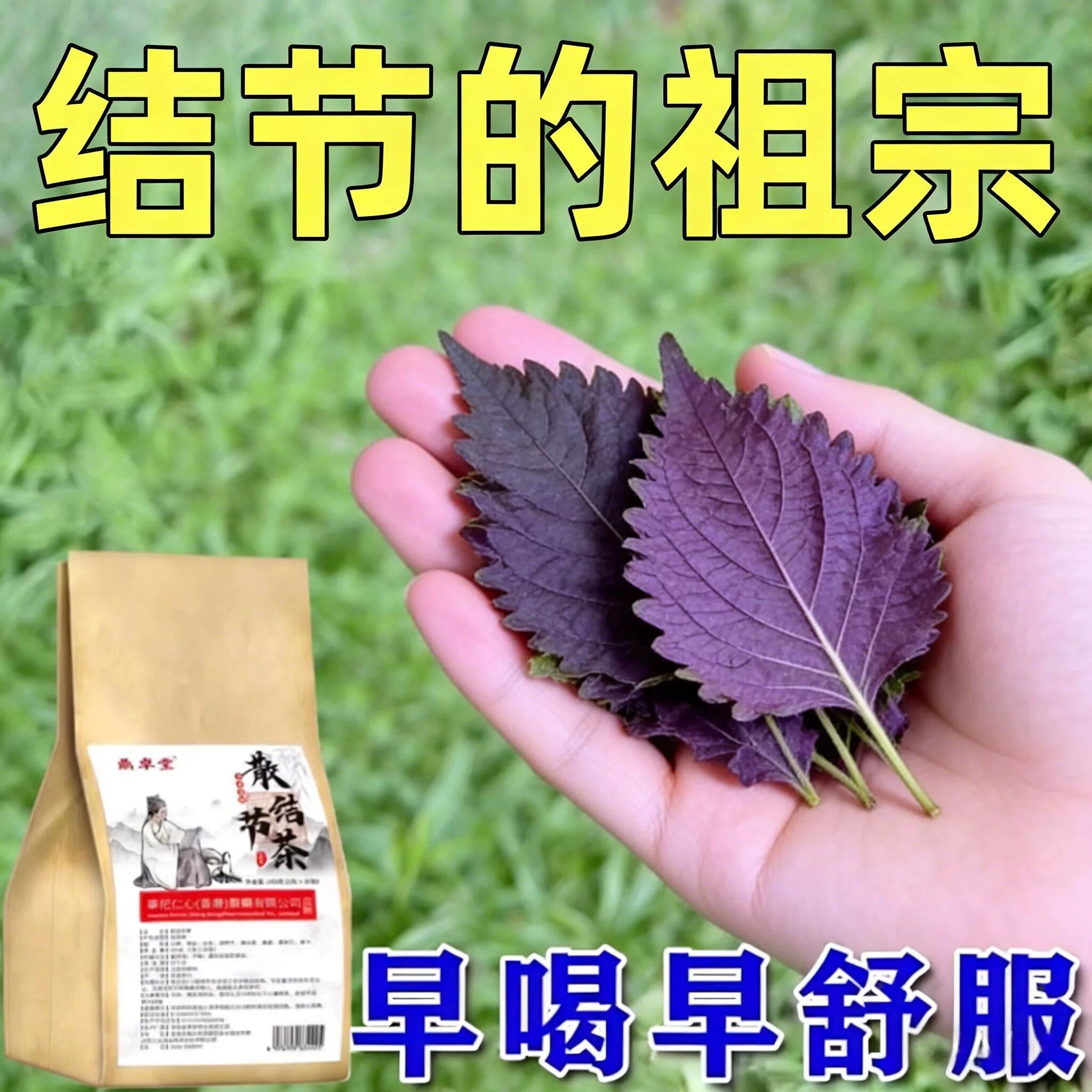结节拜拜】肺结节散结茶润肺养肺茶消除磨玻璃节的去肺结节茶包