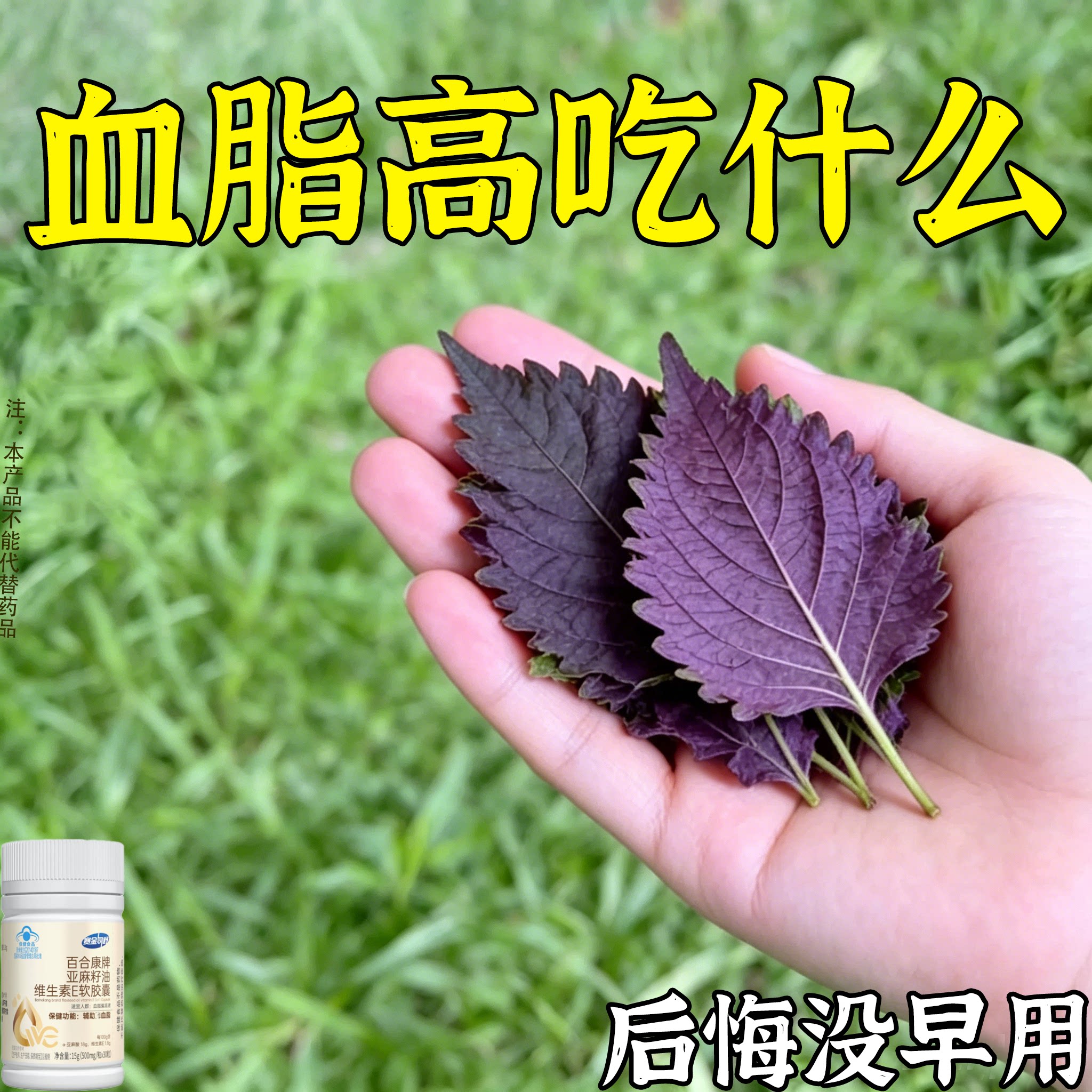 血脂高吃什么血栓溶解血液粘连中老年人男女通用亚麻籽油维生素E