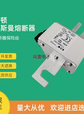 快速熔断器保险170M6760 170M6761 170M6762 170M6763