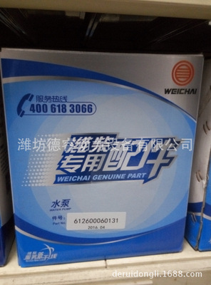 612600062018水泵柴油机WD10WD12WP10发动机用陕汽北奔山推