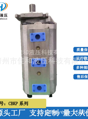 CBKP100/50/40-BFP三联泵齿轮泵