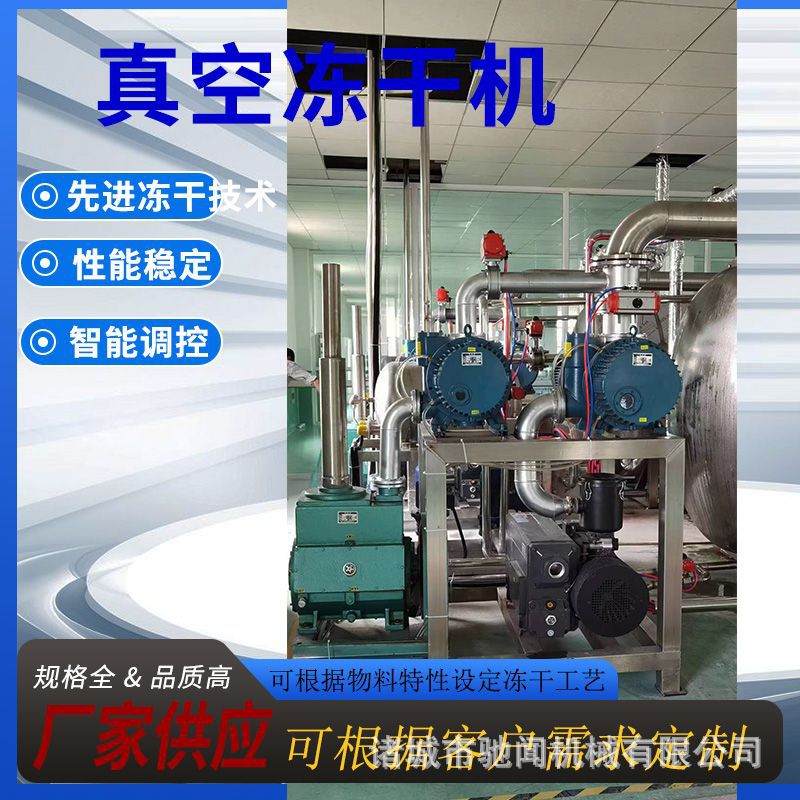 草莓脱水冻干机果蔬脆冻干干燥设备土豆条真空冻干机 厂家定制