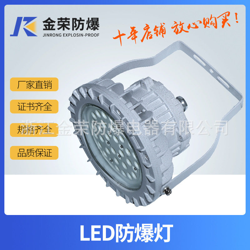 源头直销 ip65金荣LED防爆投光灯 车间照明免维护圆形防爆LED灯