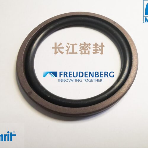 德国迈克MERKEL格莱圈OMK-MR 180-159-8.1 310-289-7.7科德宝油封