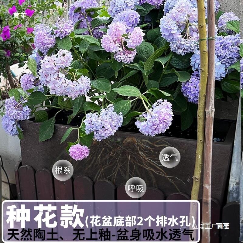 特大号鱼缸长方形紫砂粗陶花盆无釉马槽盆古法养鱼盆荷花睡莲庭院