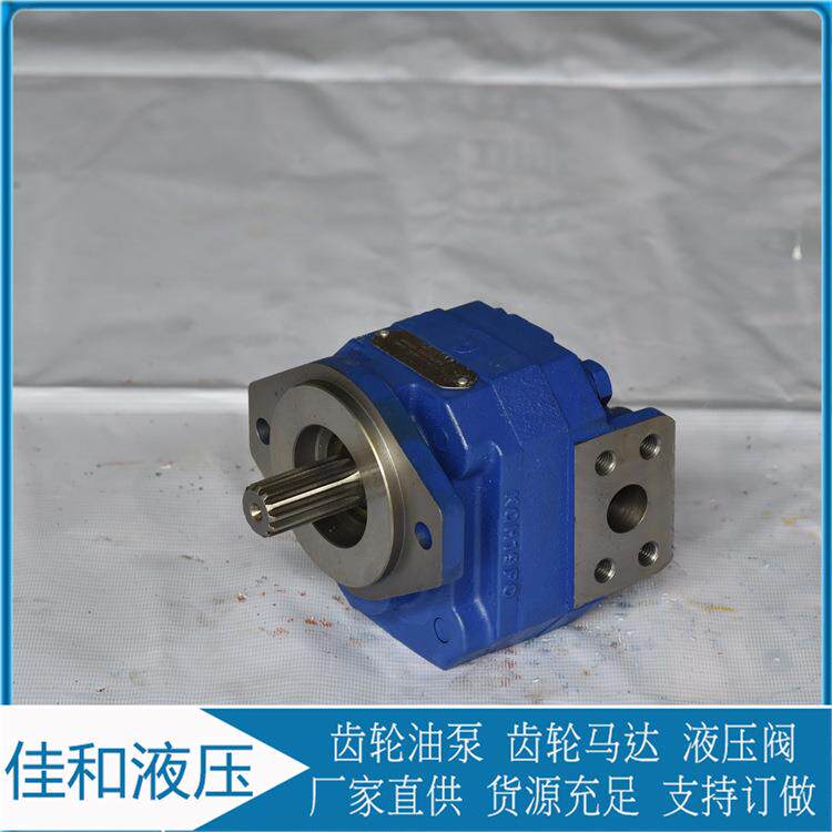 P124系列泊姆克齿轮泵1121001432