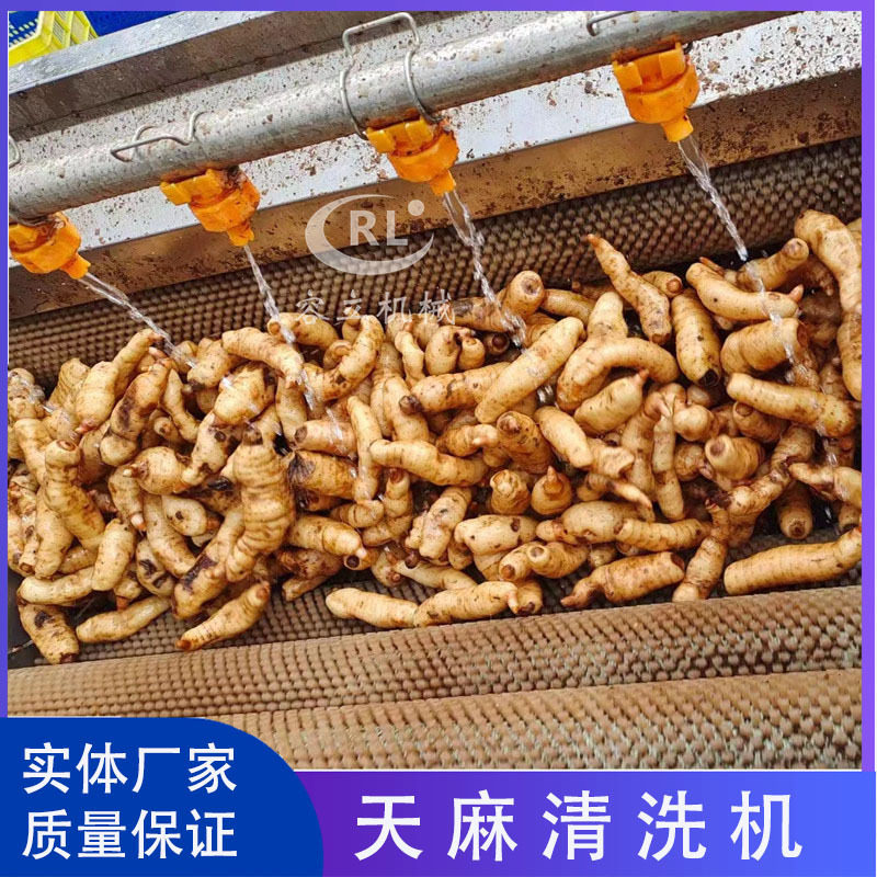毛刷式带鱼去麟机 鲤鱼草鱼罗非鱼去鱼鳞机器 冰鱼黄花鱼去鳞机