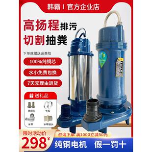 高扬程污水泵家用潜水泵220v大流量农田农用灌溉抽水抽化粪沼气池