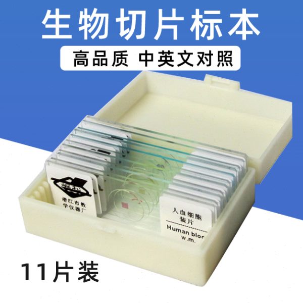 生物显微镜11种标本切片儿童中学生教学套装动植物细胞玻片实验载