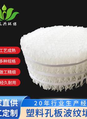 废气吸收塔孔板波纹填料聚丙烯pp规整塑料孔板波纹填料现货