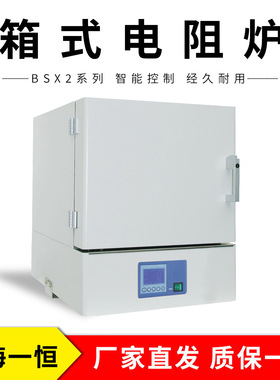 上海一恒 BSX2-5-12TP 可程式箱式电阻炉 马弗炉