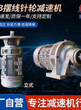 WB摆线针轮减速机WB65/WB85/WB100/WB120减速器齿轮箱硬齿面
