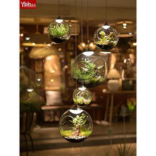 饰 Led植物灯玻璃球组合现代商店酒吧装 斯堪 纳维亚吊灯创意时尚