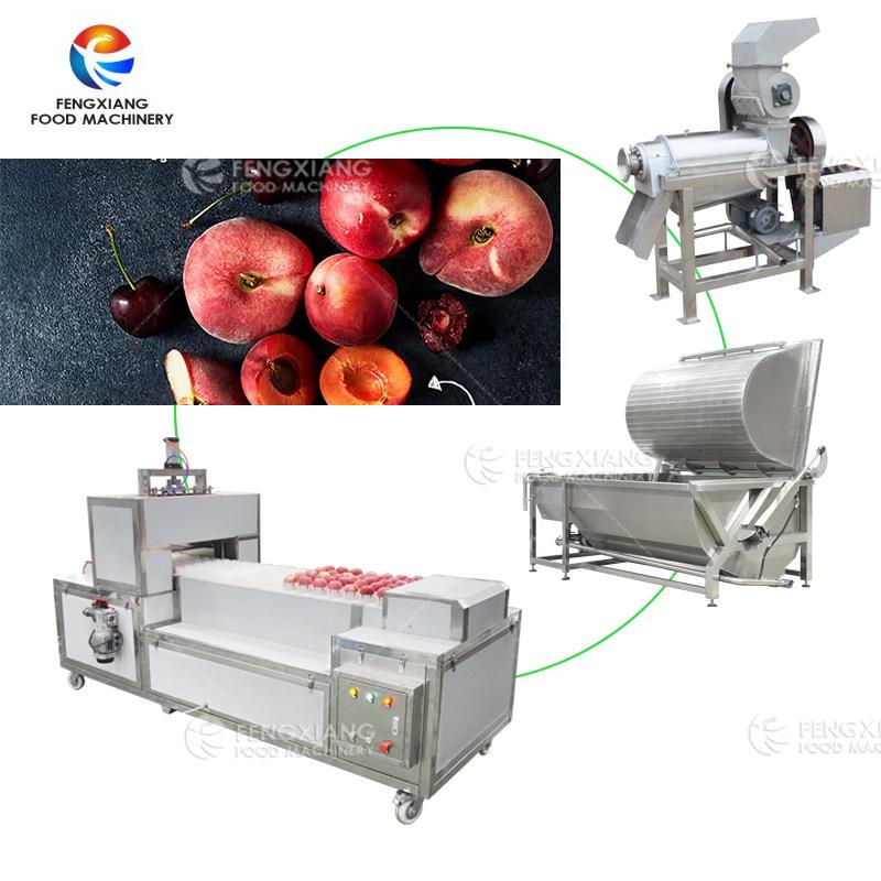 果蔬去核机果蔬加工设备可加工桃子去核清洗加工设备生产