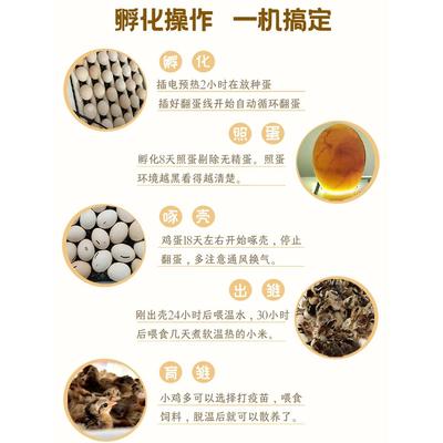 家用智能小型全自动鸡鸭鹅鹌鹑鸽芦丁鸡孵化器孵蛋器孵化机孵化箱