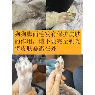 小狗狗鞋 不掉脚防水透气 子软底雪纳瑞泰迪柴犬小型犬脚套宠物雨鞋