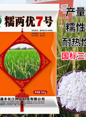长粒型糯谷水稻种子糯两优7号国