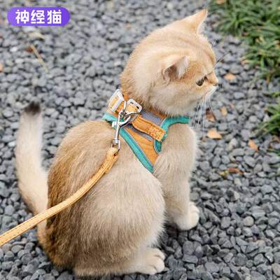 猫咪牵引绳背心式胸背带防挣脱可爱外出狗狗牵引绳遛猫绳子遛狗绳