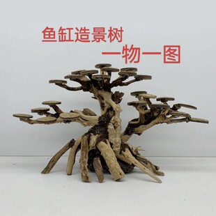 鱼缸造景树一物一图骨架成品树摆件网红溪流沉木水草全套
