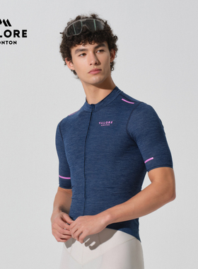 VALORE回声夏季透气速干衫自行公路车AOE骑行服短袖上衣男士新款