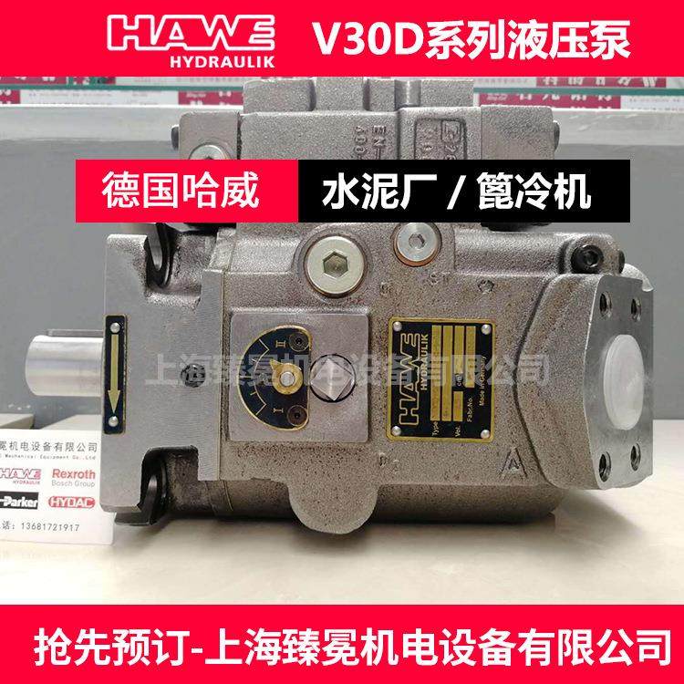 德国哈威V30D-160 RKGN-1-1-03/V/24柱塞泵 镗床液压站专用液压泵,标准件/零部件/工业耗材,液压泵,淘宝优惠券,粉丝福利购,淘宝优惠卷