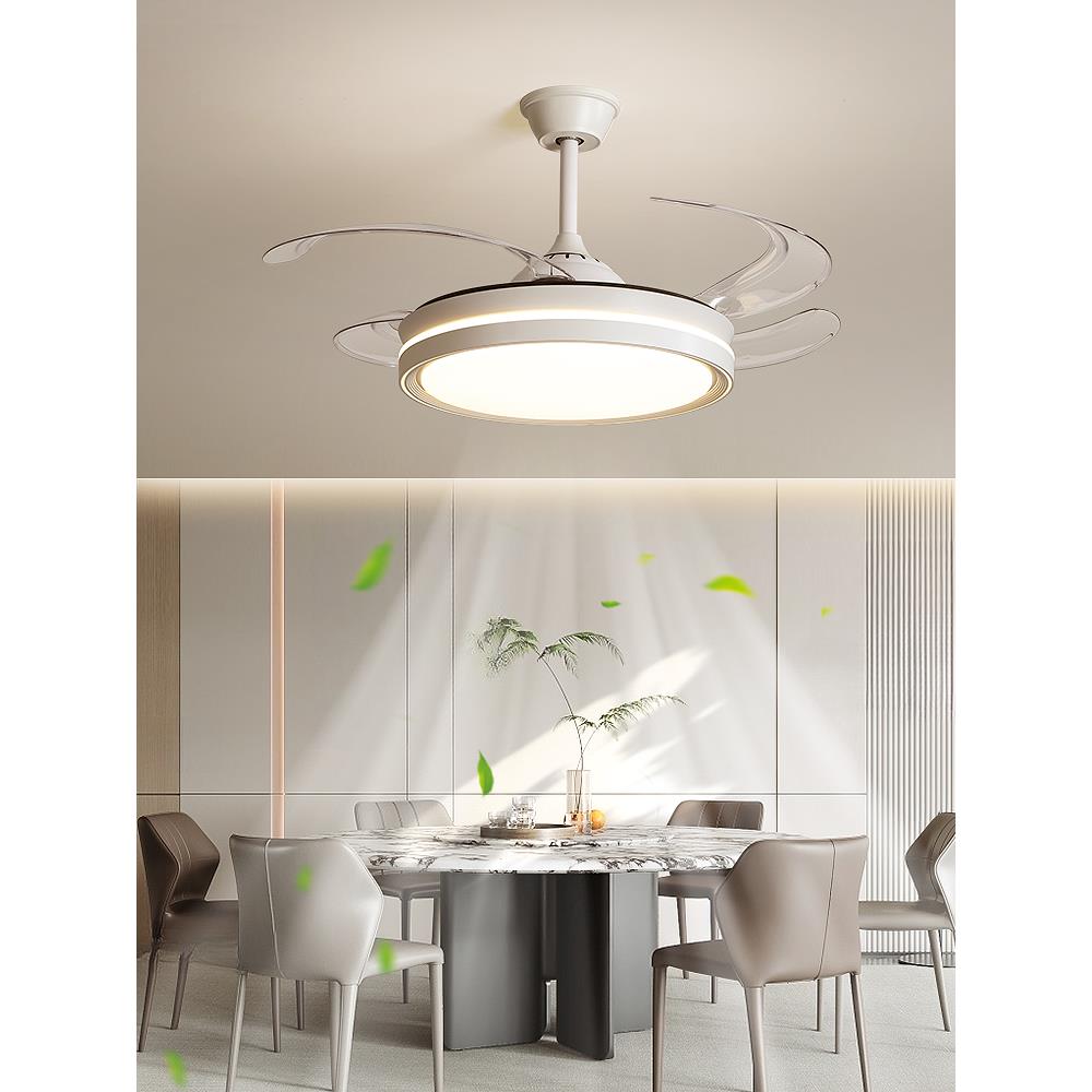 带灯风扇灯吊灯家用灯扇一体吊扇灯隐形餐厅卧室主卧2025新款新型