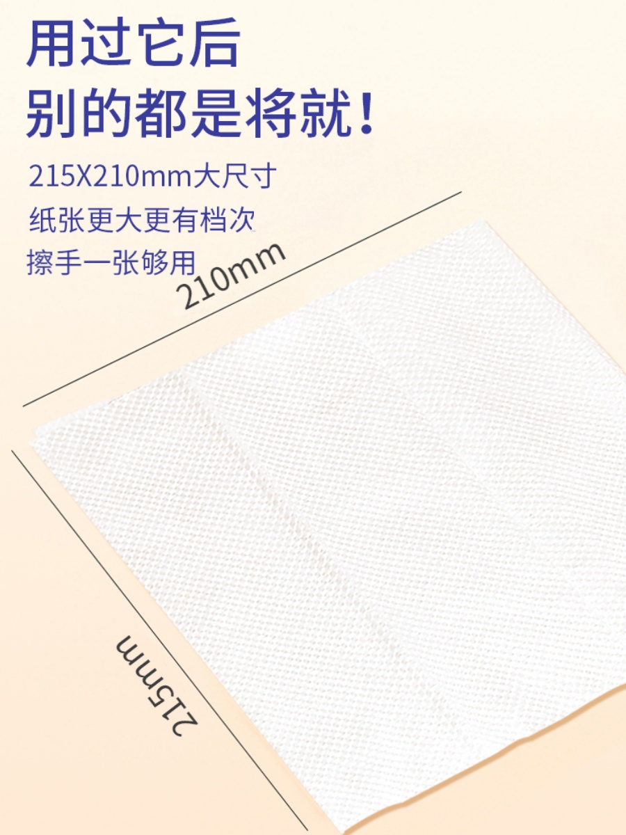 立得惠 200抽加厚擦手纸商用整箱酒店卫生间厕所专用檫手纸巾抹手