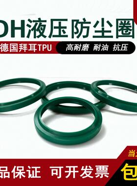 活塞杆DHS/DH进口防尘圈200-650配套尘封密封圈 A1/AY/A5密封件