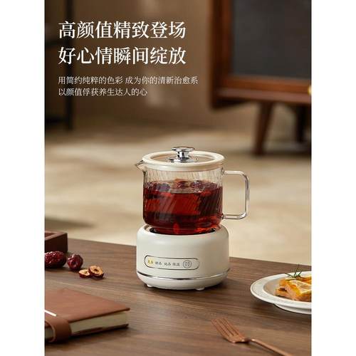 养生壶家用多功能全玻璃煮茶器烧水壶小型办公室花茶壶一人养生杯