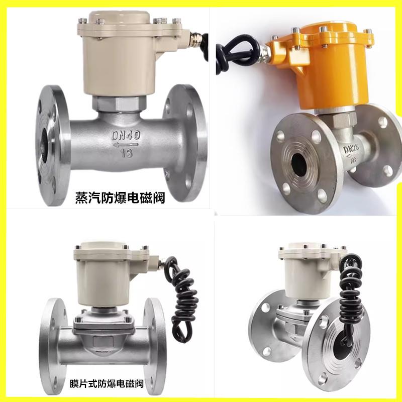 304不锈钢防爆法兰电磁阀高温蒸汽防爆电磁阀ZCS/ZBSF活塞电磁阀