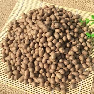 铁棍山药豆种子山药种籽农家四季蔬菜种孑豆类蔬菜种子大全盆栽