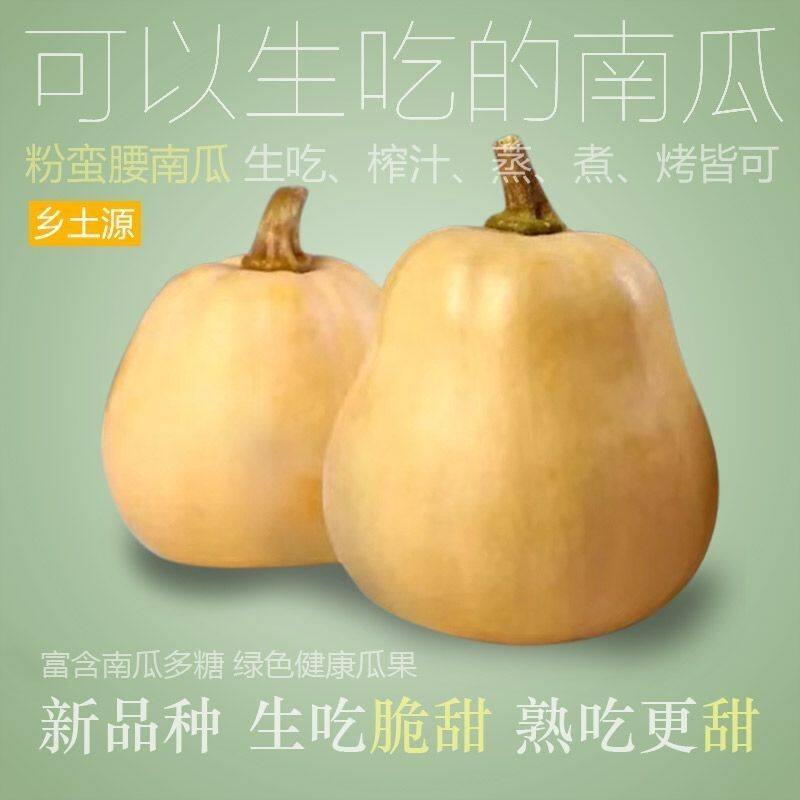 可生吃水果南瓜种子正宗新鲜粉蛮家庭园艺种子
